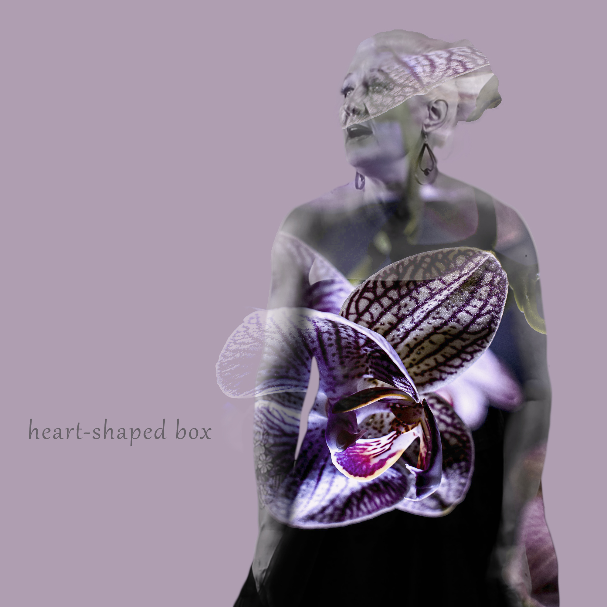 HSB Cover