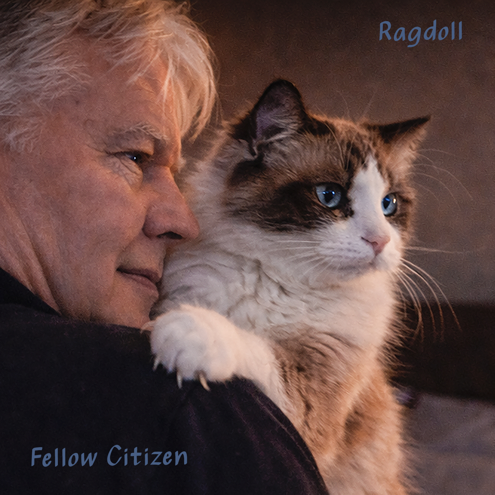 Ragdoll Cover